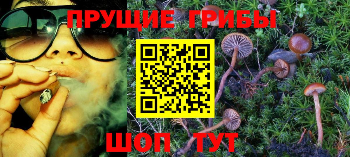 Псилоцибиновые грибы GOLDEN TEACHER Бор