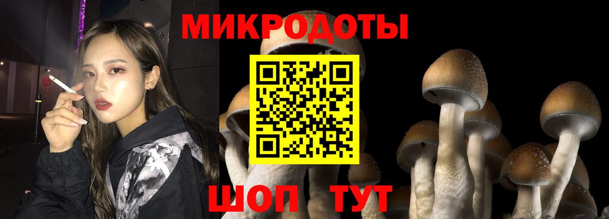 Псилоцибиновые грибы Psilocybine cubensis  Вход с VPN  Галлюциногенные грибы мицелий  Бор 